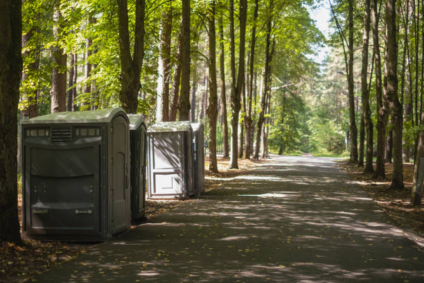 Best Affordable porta potty rental  in Bellevue, MI